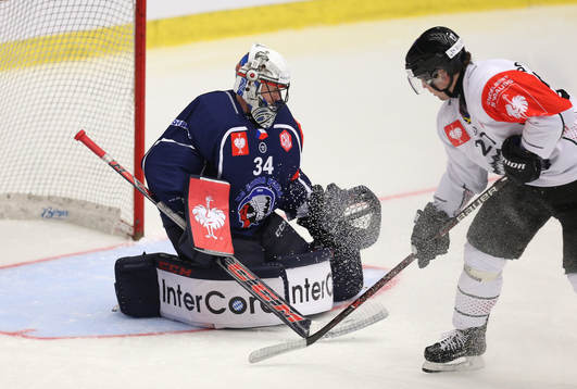 Ishockey, CHL PILSEN,CZECH REPUBLIC,15.JAN.19 - ICE HOCKEY