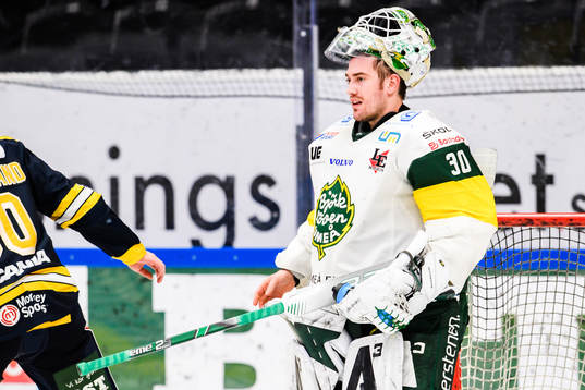 Björklövens målvakt Mattias Pettersson deppar