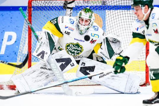Björklövens målvakt Mattias Pettersson