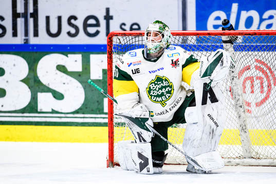 Björklövens målvakt Mattias Pettersson deppar