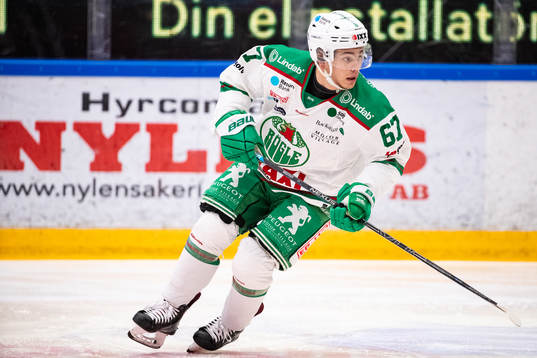 Rögles Leon Bristedt