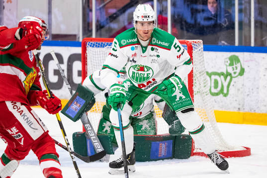 Rögles Alen Bibic