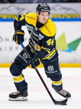 s Mikko Lehtonen
