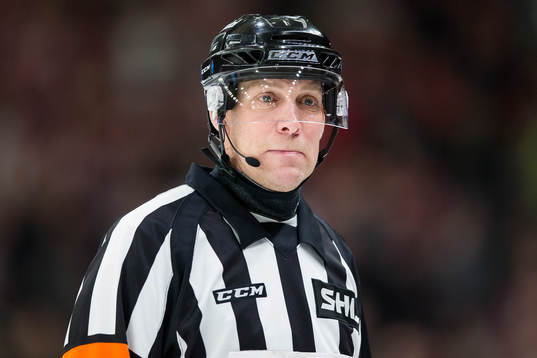 Domare Morgan Johansson