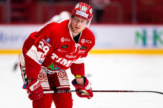 Timrås David Printz