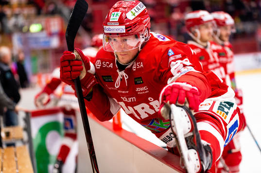 Timrås David Printz