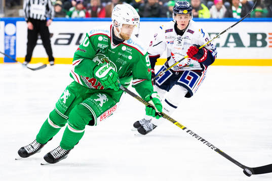 Rögles Ted Brithén