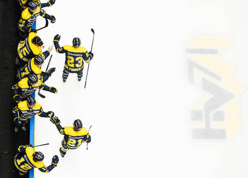 s HV71:s Robin Figren och Mattias Tedenby jublar med