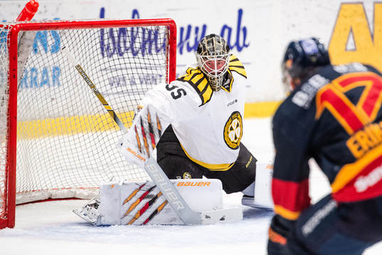Brynäs målvakt David Rautio