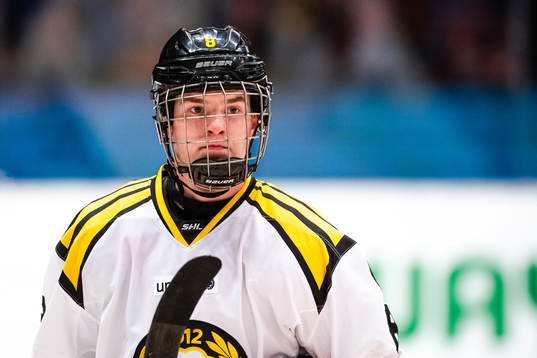 Brynäs Victor Söderström