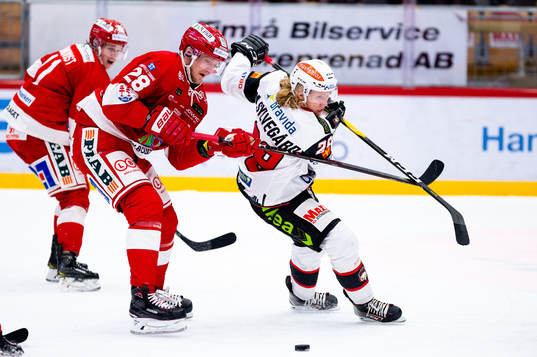 Timrås David Printz och Malmö Redhawks Marcus Sylvegård