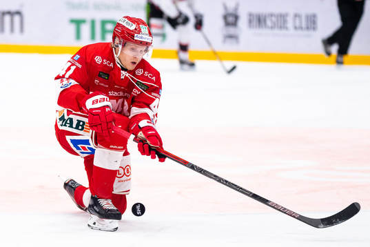 Timrås Alexander Falk