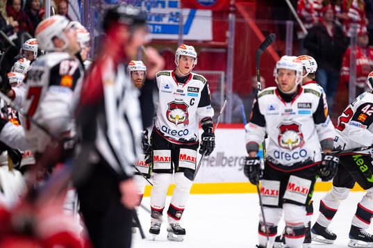 Malmö Redhawks Fredrik Händemark jublar