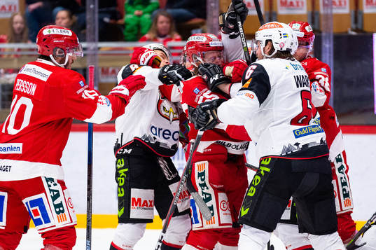 Timrås Vilmos Gallo och Malmö Redhawks Stefan Warg