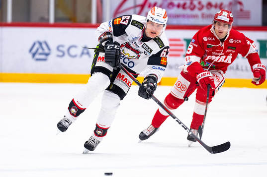 Malmö Redhawks Fredrik Händemark