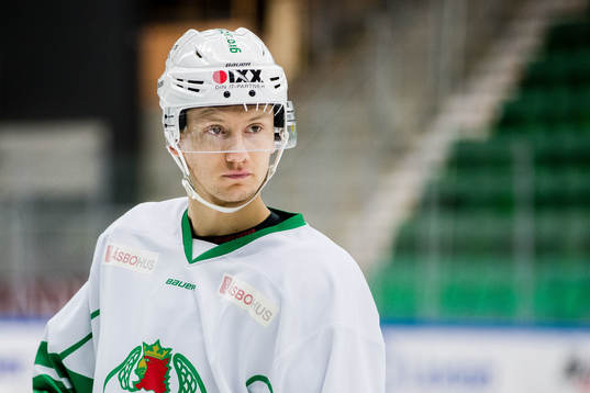 Rögles Daniel Bertov