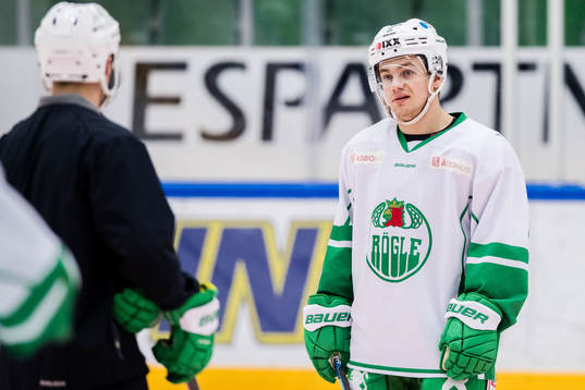 Rögles Nils Höglander grimaserar i diskussion med