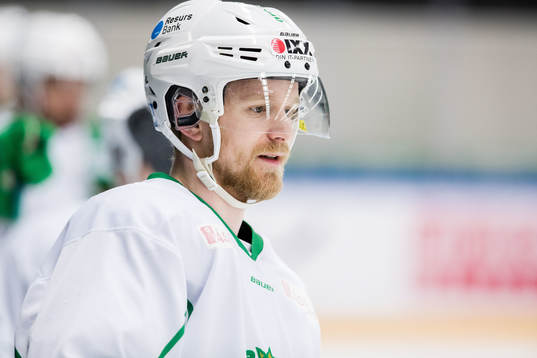 Rögles Ted Brithén