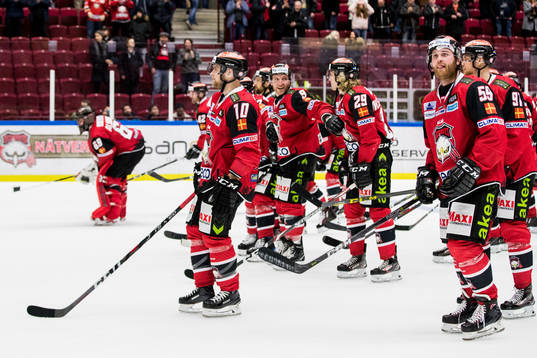 Malmö Redhawks spelare jublar tillsammans