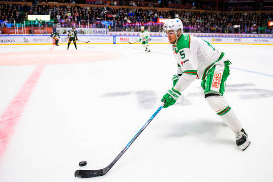 Rögles Alen Bibic