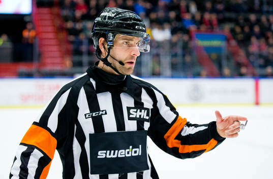 Domaren Mikael Sjöqvist