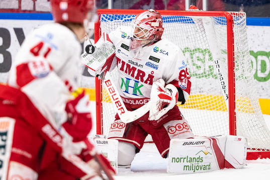 Timrås Niklas Svedberg