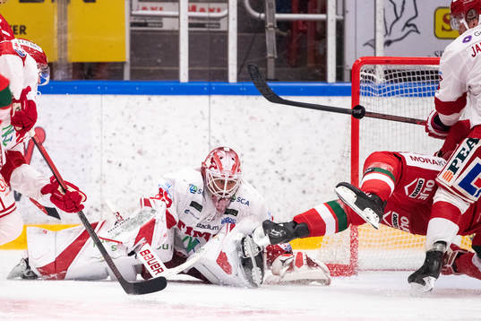 Timrås Niklas Svedberg