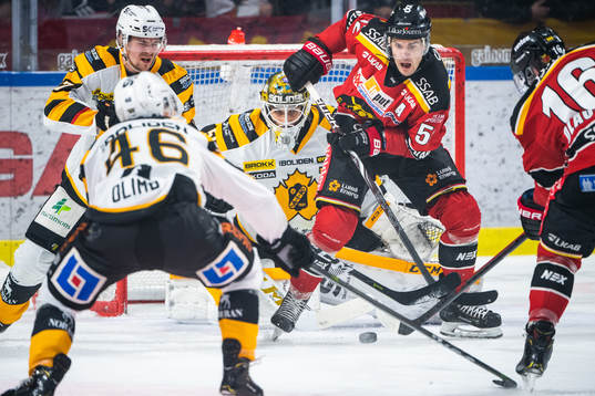 Skellefteås målvakt Mantas Armalis och Luleås Karl