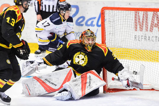 Brynäs målvakt Joacim Eriksson