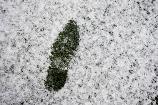 Ett fotsteg i snön på en konstgräsplan