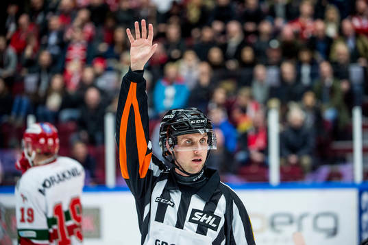 Domaren Patric Bjälkander