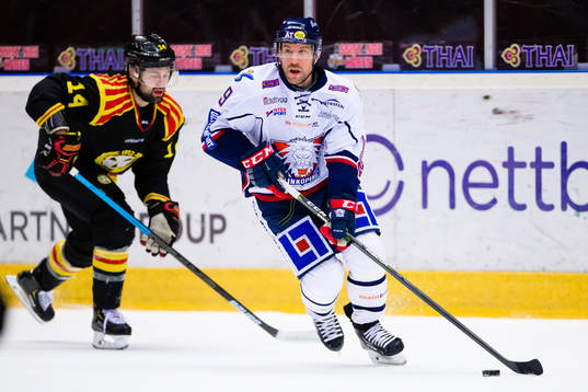 Linköpings Derek Roy och Brynäs Johan Alcén