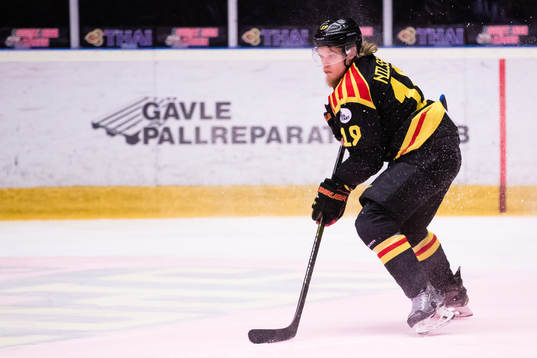 Brynäs Ludvig Nilsson