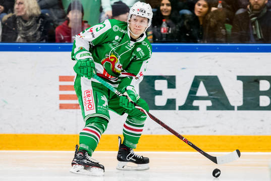 Rögles Daniel Bertov