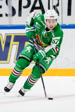 Rögles Leon Bristedt