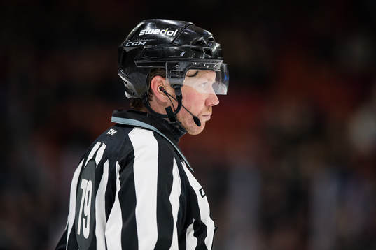 Linjedomare Henrik Pihlblad
