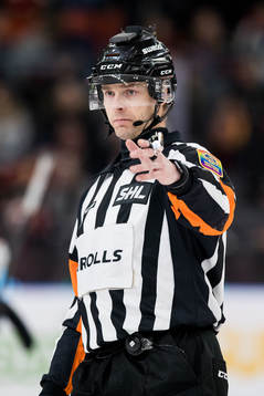Domare Mikael Andersson