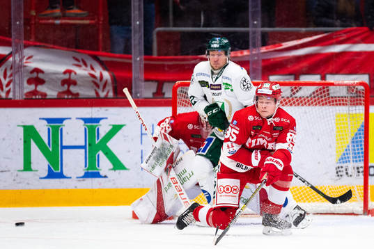 Timrås Filip Westerlund