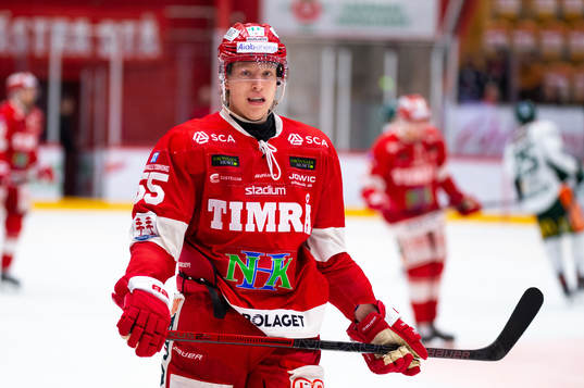 Timrås Vilmos Gallo