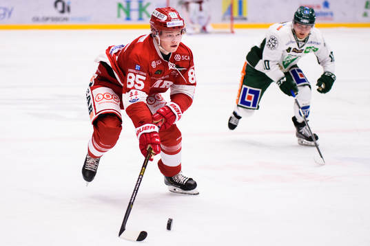 Timrås Filip Westerlund