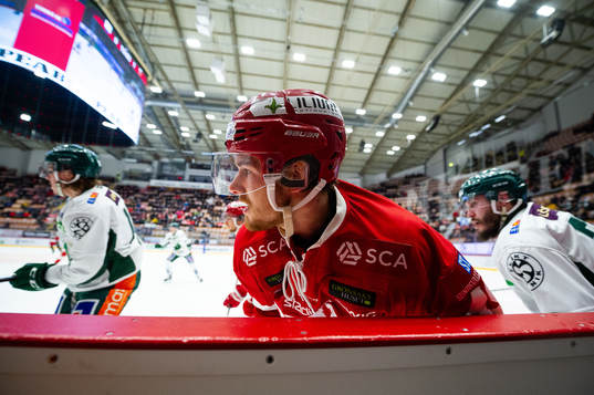Timrås Sebastian Collberg