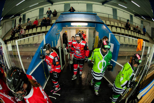 Redhawks och Trollhettan spelare kommer ut på isen