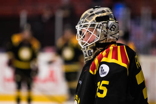 Brynäs målvakt David Rautio