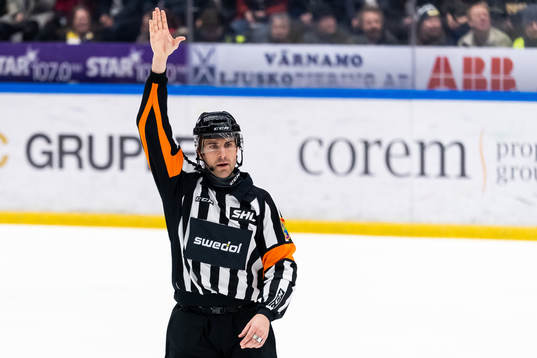 Domare Mikael Sjöqvist