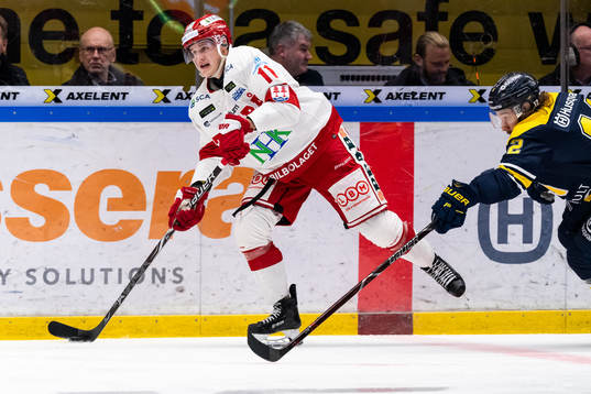 Timrås Henrik Törnqvist