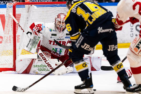 Timrås målvakt Niklas Svedberg
