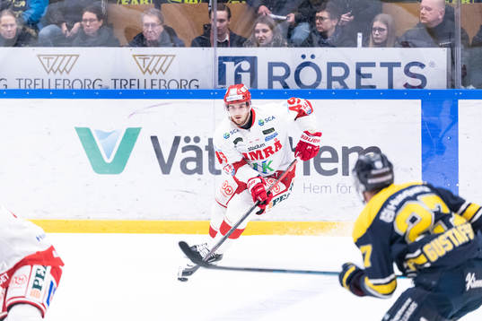 Timrås Sebastian Collberg