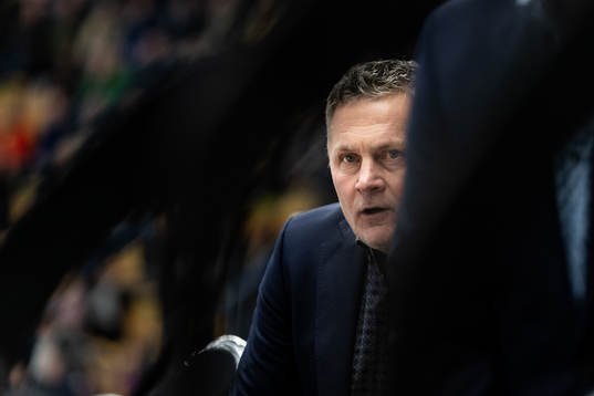 HV71´s tränare Stephan Lundh