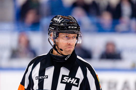 Domare Sören Persson