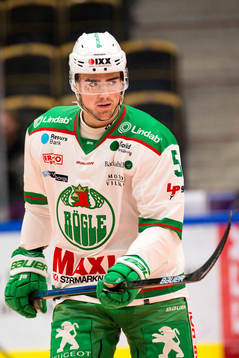 Rögles Alen Bibic